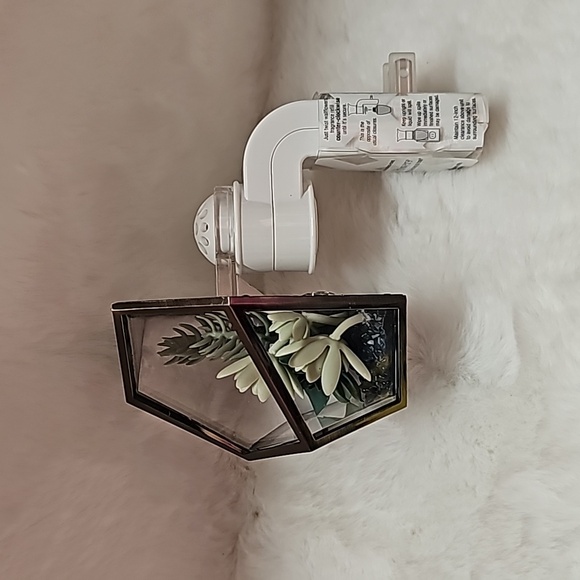 Bath & Body Works SUCCULENT TERRARIUM Wallflower Plug - Picture 2 of 4